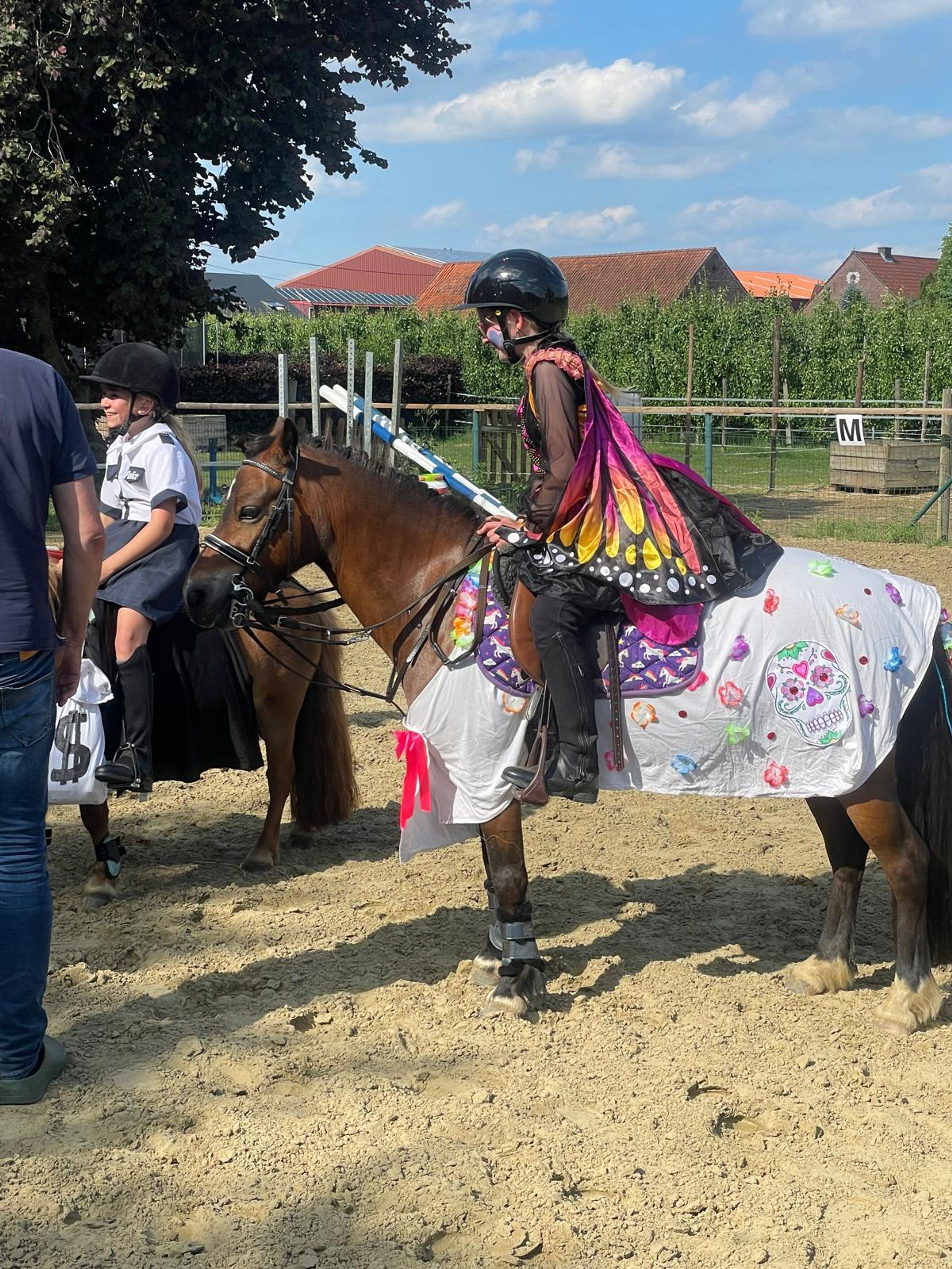 Iesehof Dulce (BREENAKKERS JULIUS x RIAN'S THUNDER) - Image 11