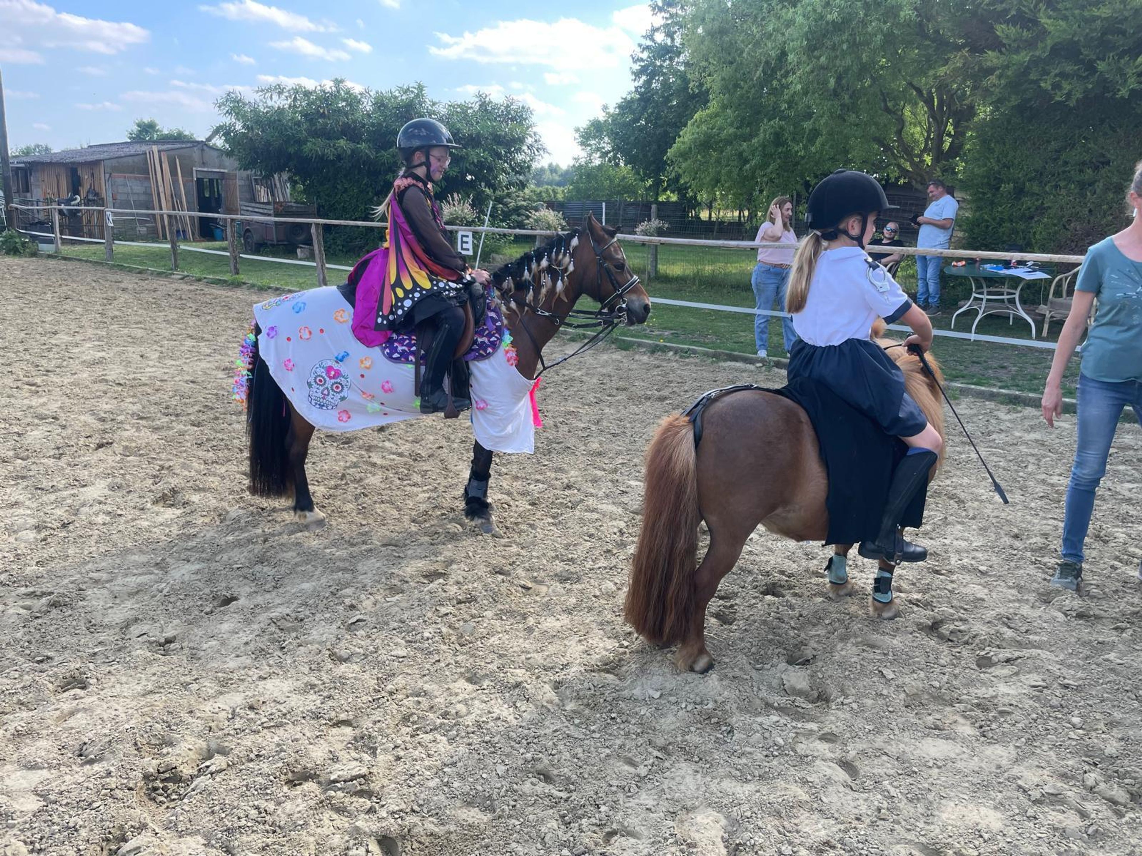 Iesehof Dulce (BREENAKKERS JULIUS x RIAN'S THUNDER) - Image 13