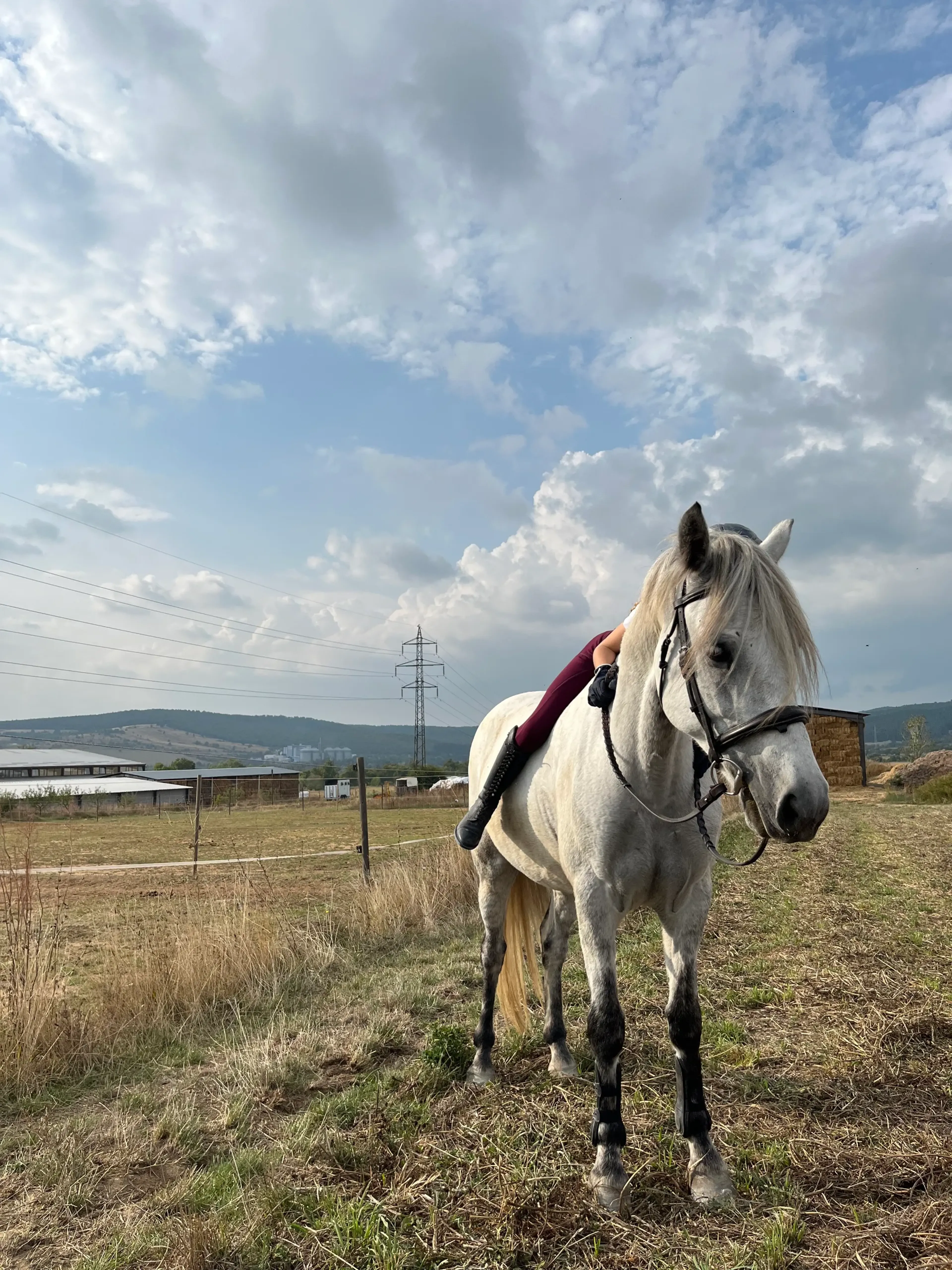 Mountain King - Image 1