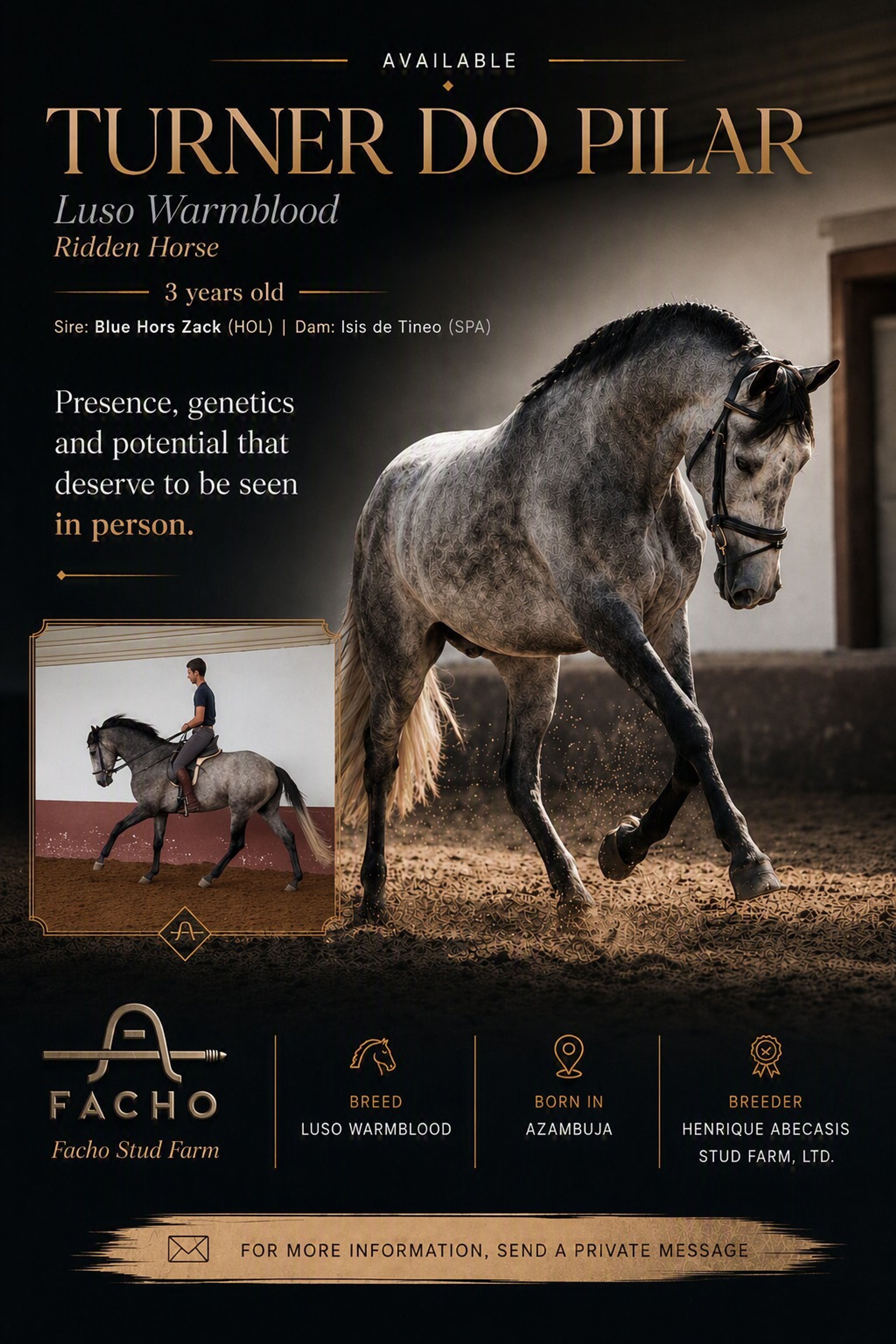 Tender do Pilar - Image 1