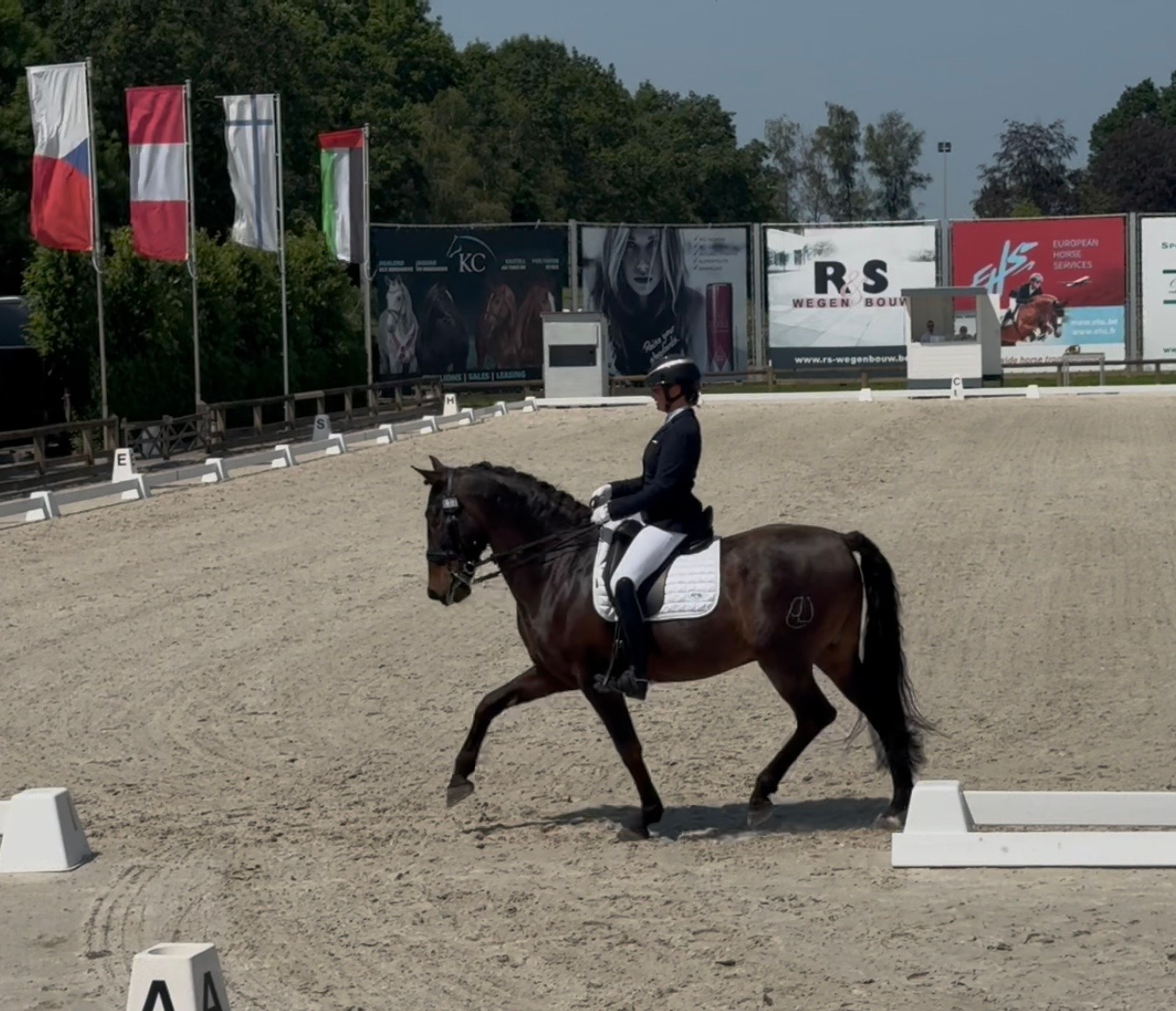 Den Oever Stables - Image 1