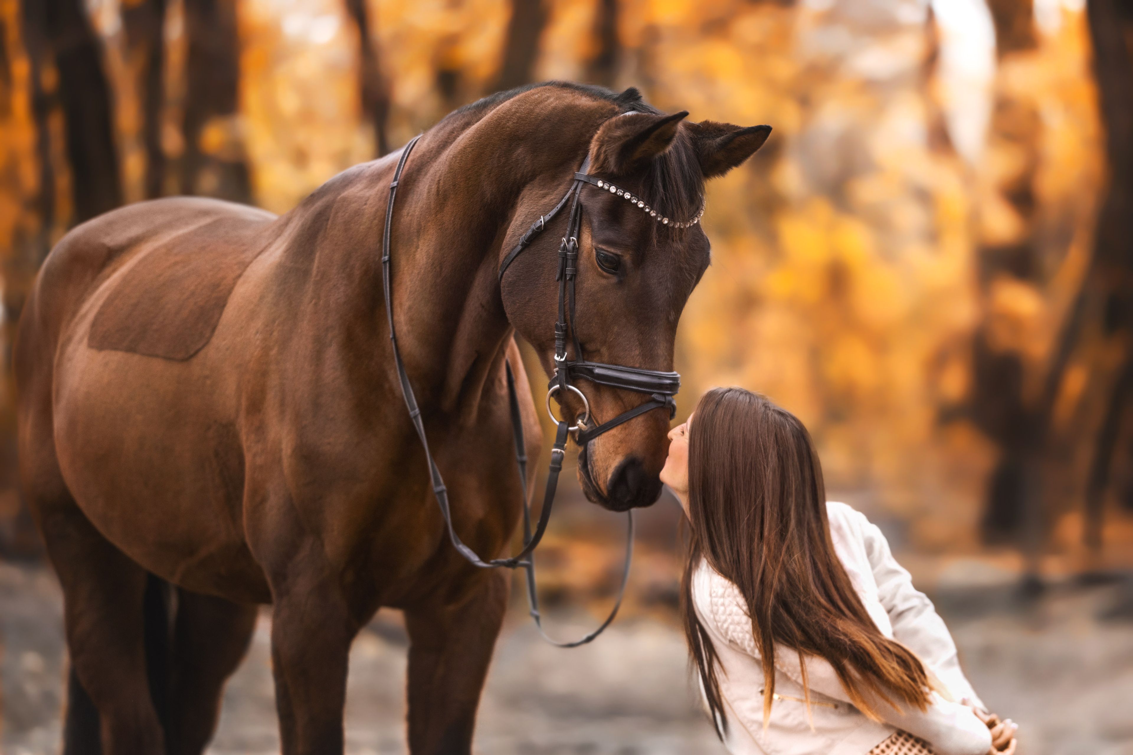 Vivien Mehlei – Emotionscoaching für Reiter mit EmotionRide® — profielfoto trainer