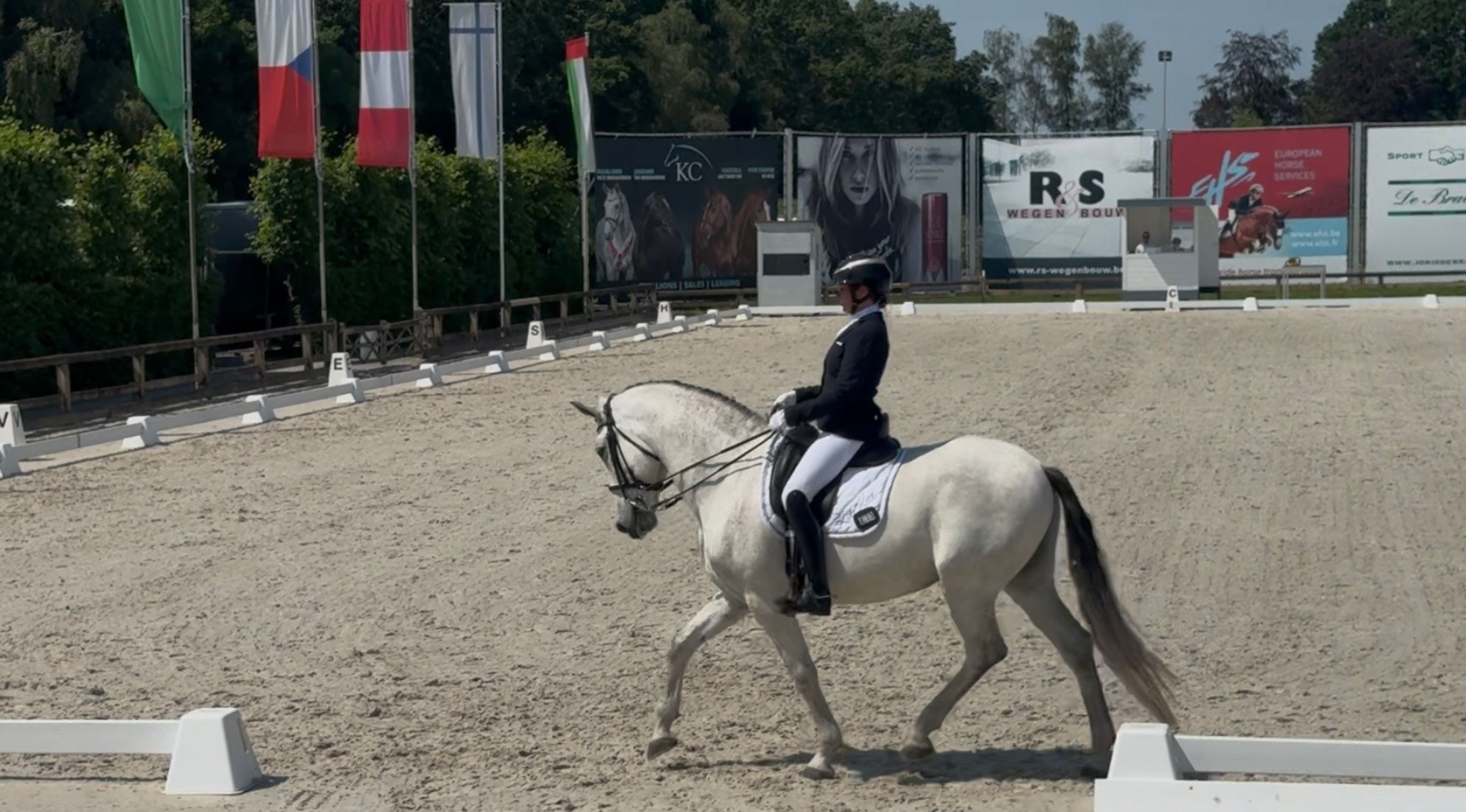 Den Oever Stables — Titelbild Training