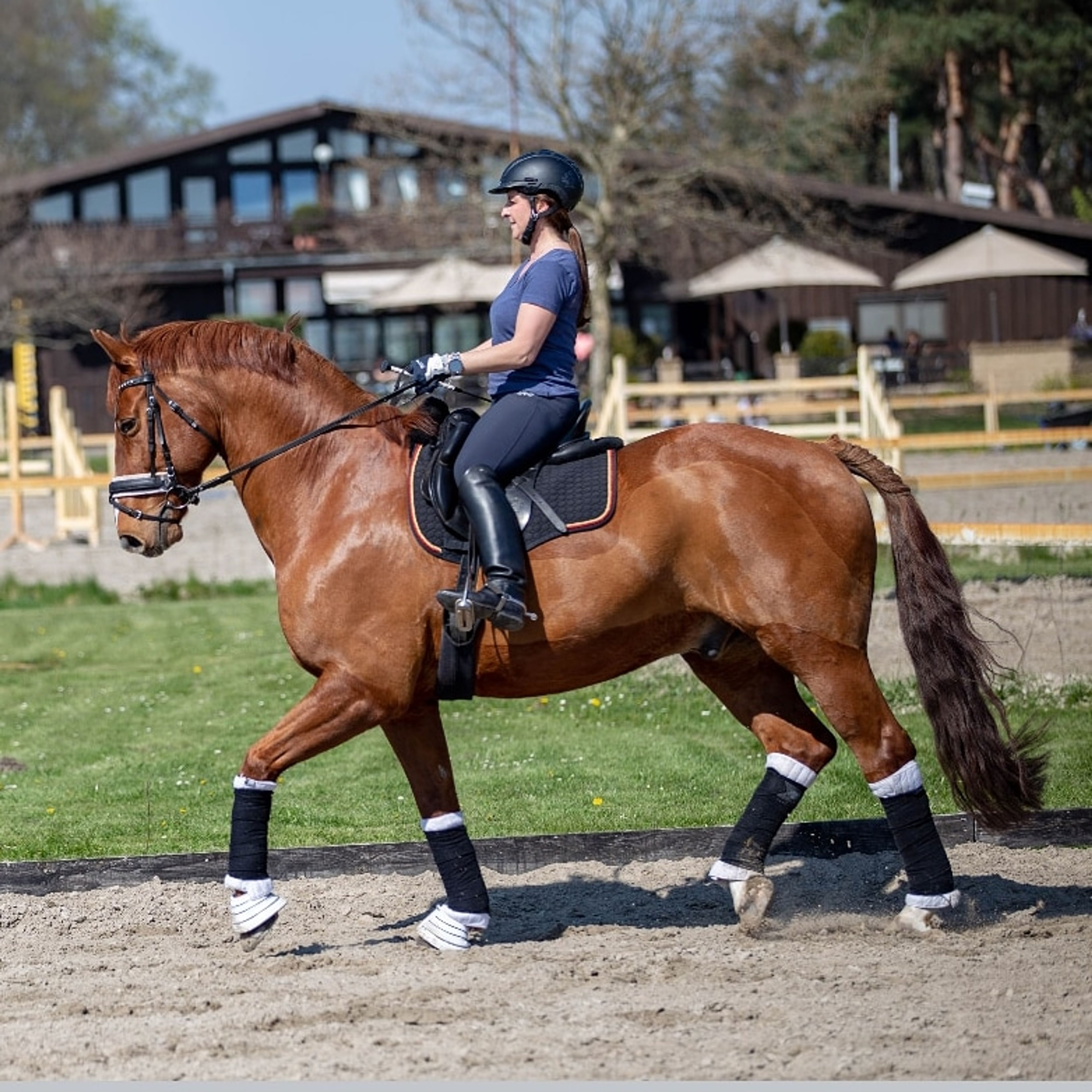 Vivien Mehlei – Emotionscoaching für Reiter mit EmotionRide® — omslagfoto training