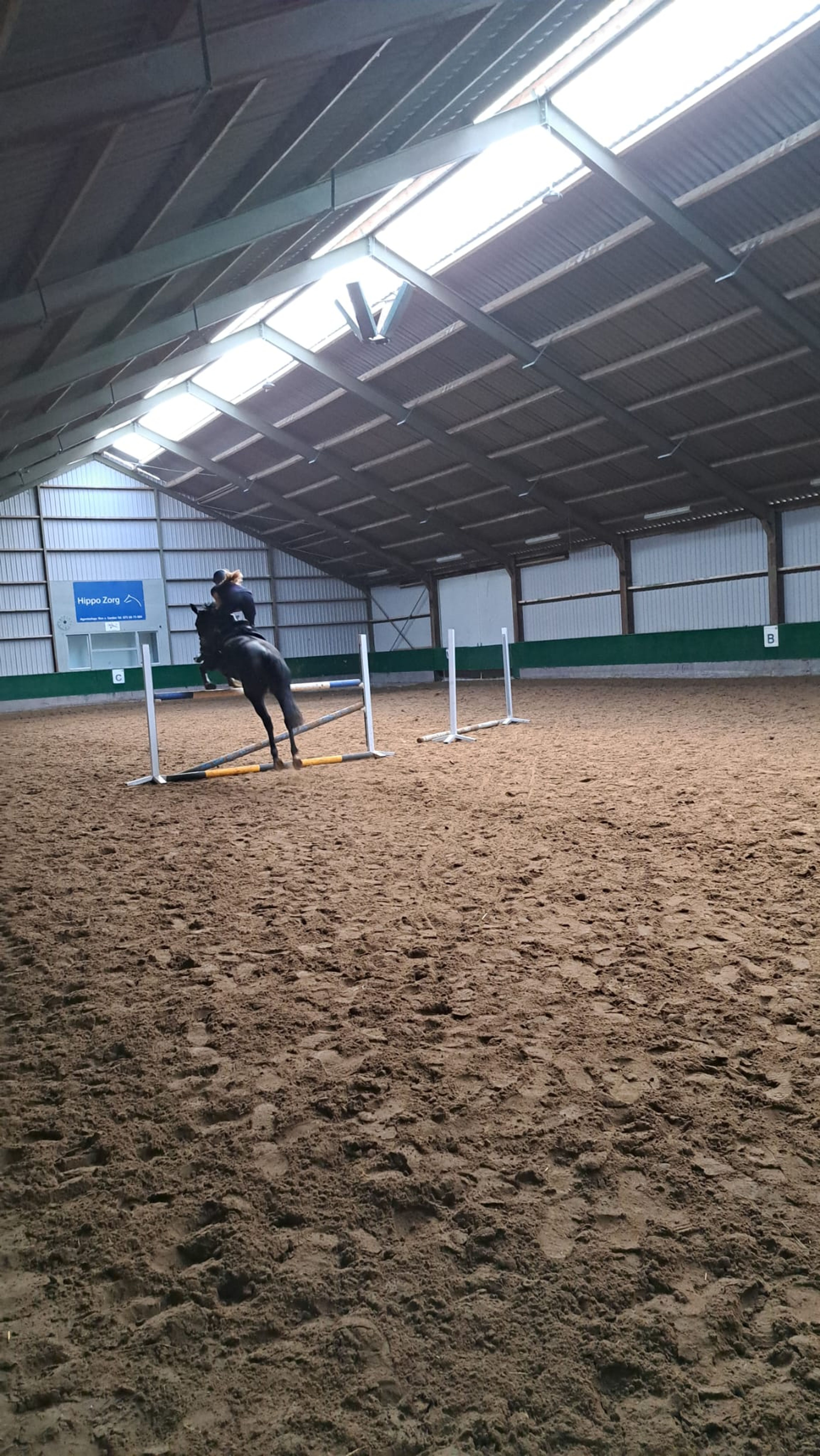 Noa Jade Hondsmerk — omslagfoto training