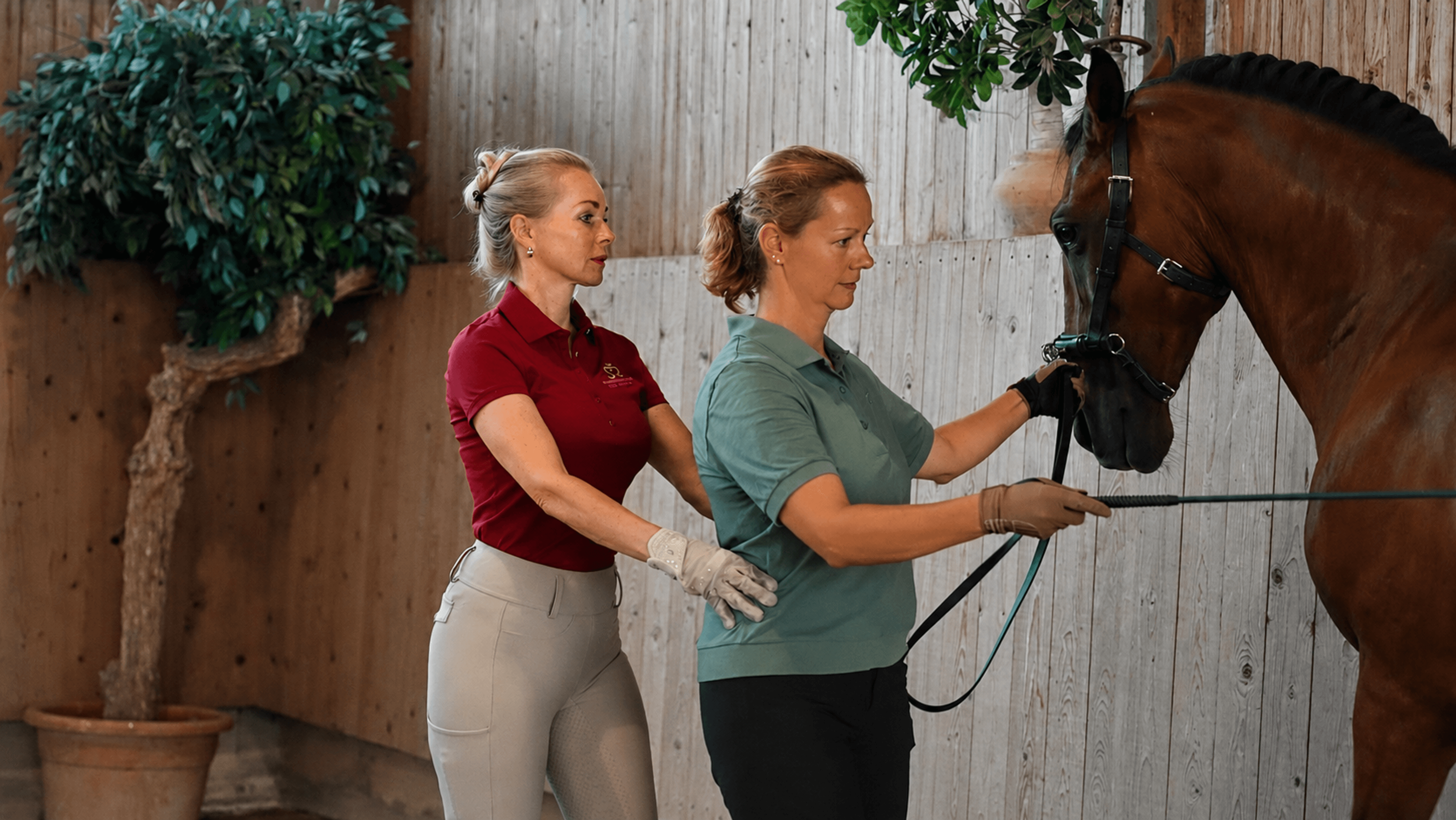 Pferdeausbildung Rabea Schmale — omslagfoto training