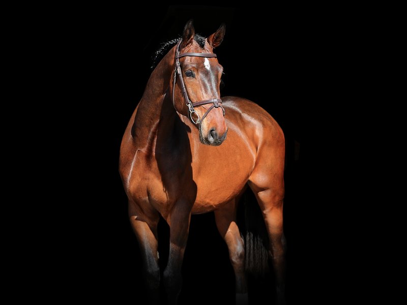 Ice ice baby Z IMAGINATION VAN 'T WINKENSHOF Z x DOUGLAS - Image 2