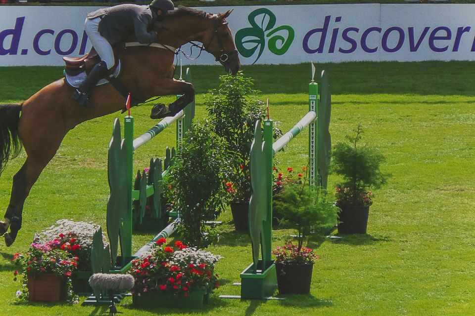 An Irish Sport Horse displaying its jumping skills