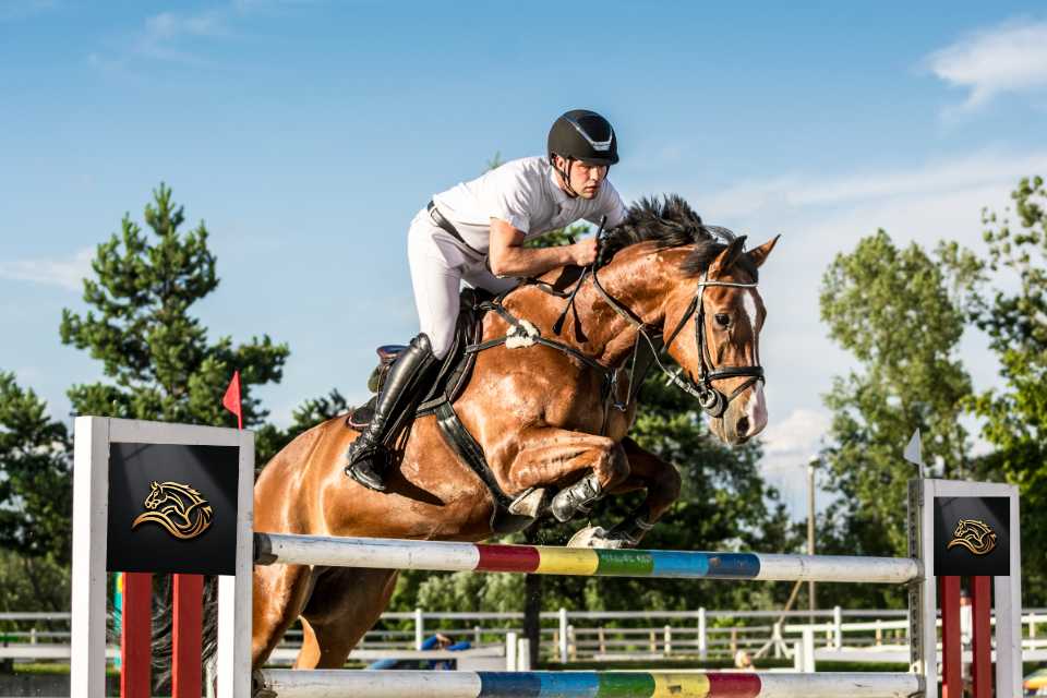 A sporthorse clearing an obstacle during a show jumping event
