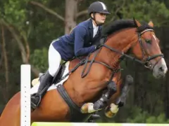 Show Jumping Horse
