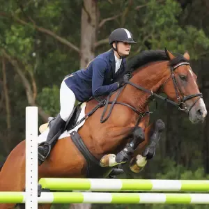 Show Jumping Horse
